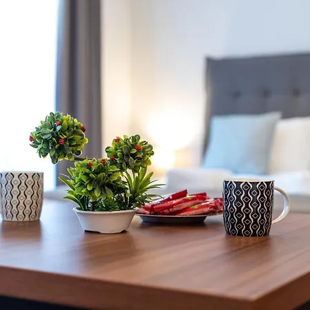 Apartment Paradiso 211 Vrnjačka Banja